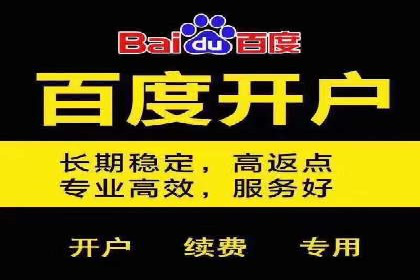 百度竞价排名服务助力：某品牌迅速占领市场